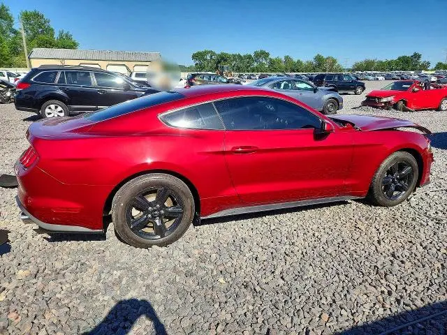 2019 FORD MUSTANG   