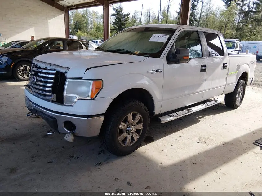2010 FORD F-150 FX4/HARLEY-DAVIDSON/KING RANCH/LARIAT/PLATINUM/XL/XLT
