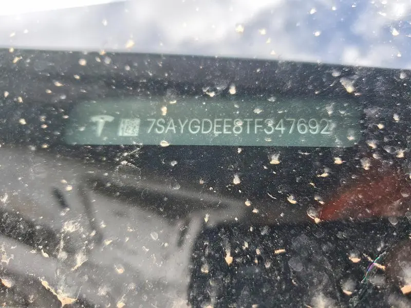 2026 TESLA MODEL Y   
