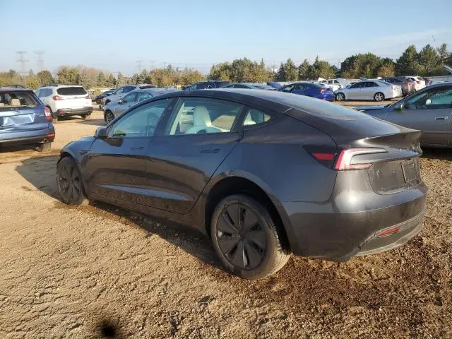 2025 TESLA MODEL 3   