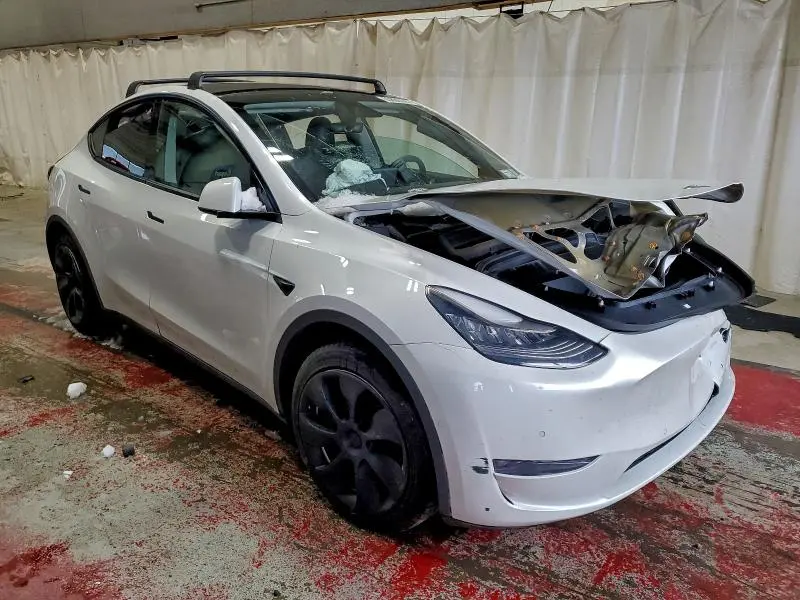 2020 TESLA MODEL Y   