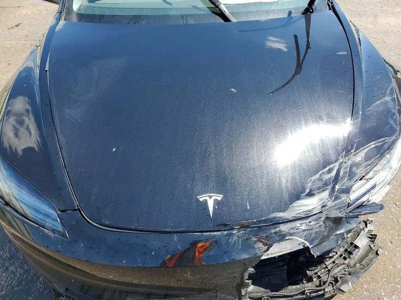 2025 TESLA MODEL 3   
