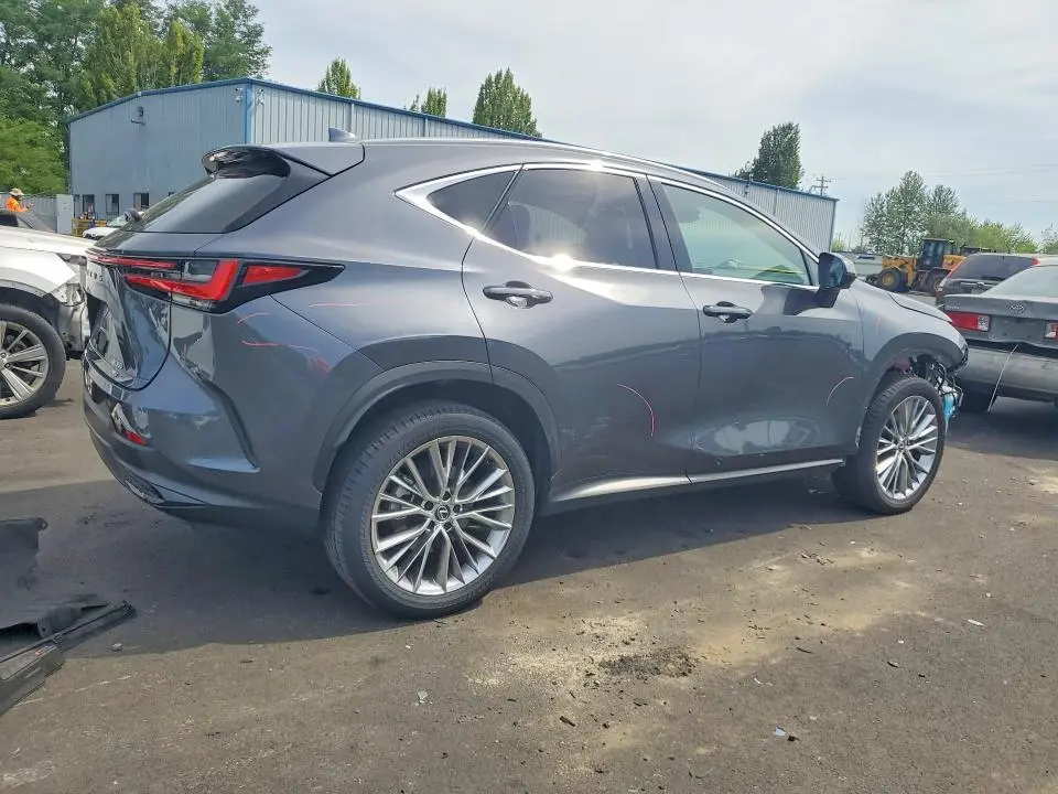 2024 LEXUS NX 350 LUXURY  