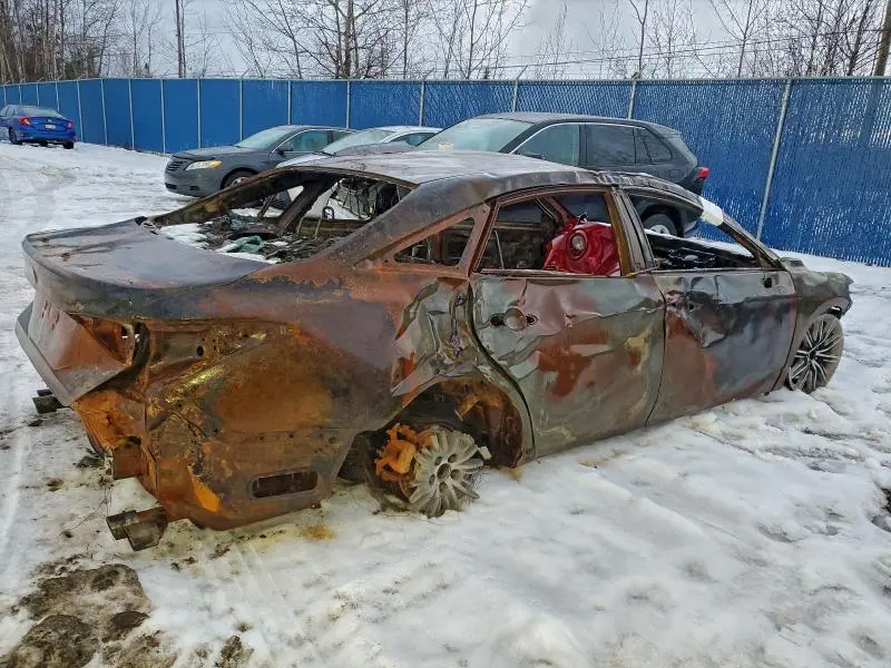 2019 TOYOTA AVALON XLE  
