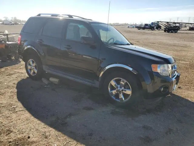 2010 FORD ESCAPE LIMITED  
