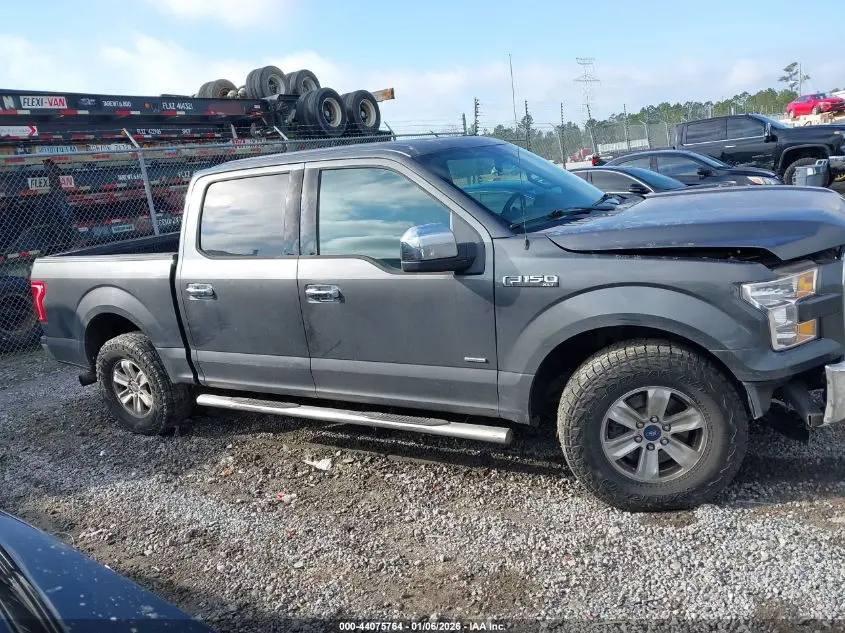 2015 FORD F-150 XLT