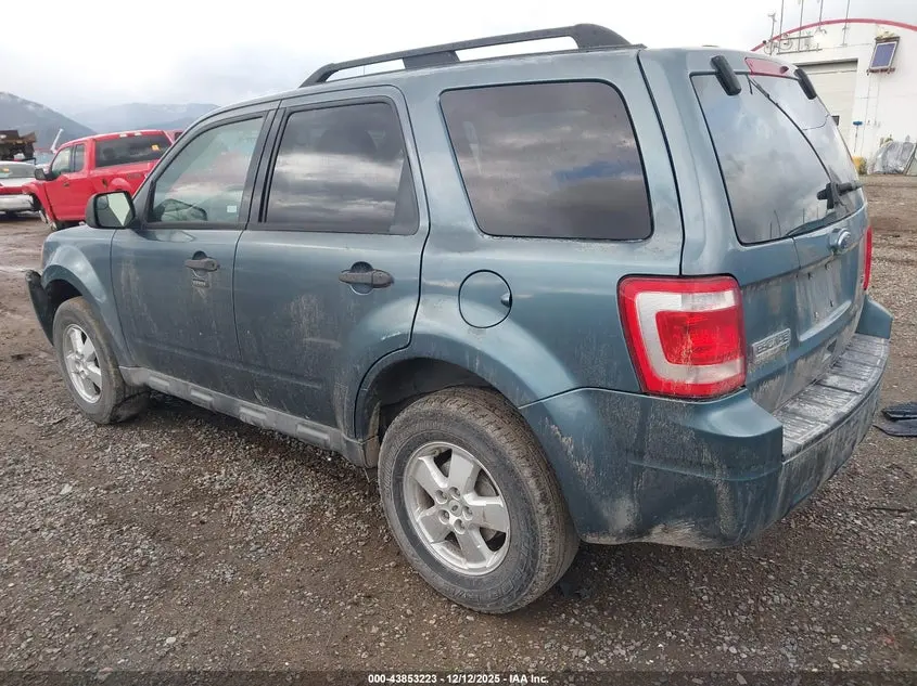 2010 FORD ESCAPE XLT