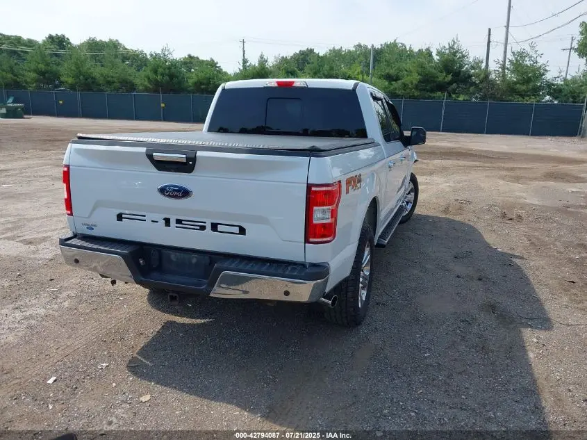 2019 FORD F-150 XLT