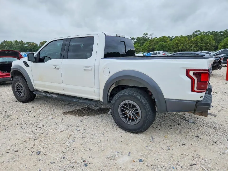 2019 FORD F150 RAPTOR  