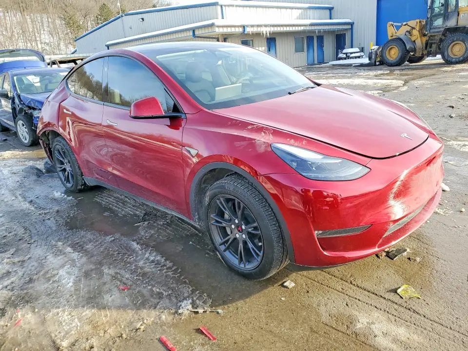 2025 TESLA MODEL Y   