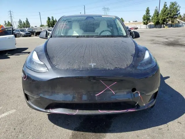 2025 TESLA MODEL Y   