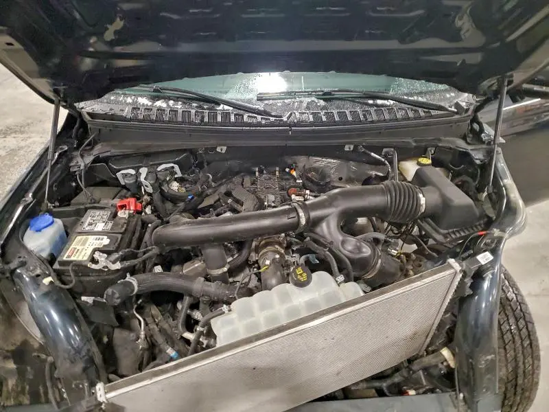 2024 FORD EXPEDITION TIMBERLINE  