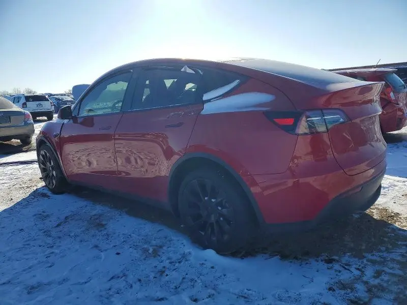 2021 TESLA MODEL Y   