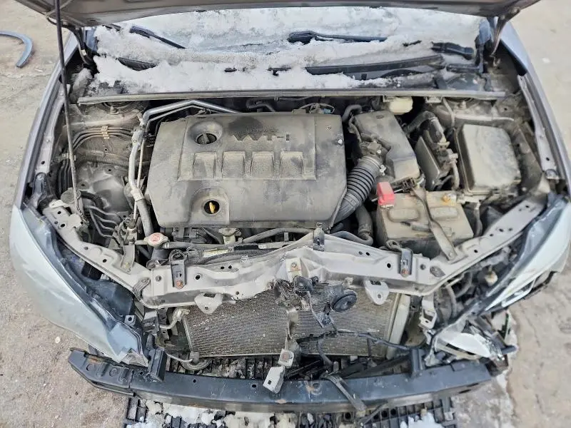 2019 TOYOTA COROLLA SE  