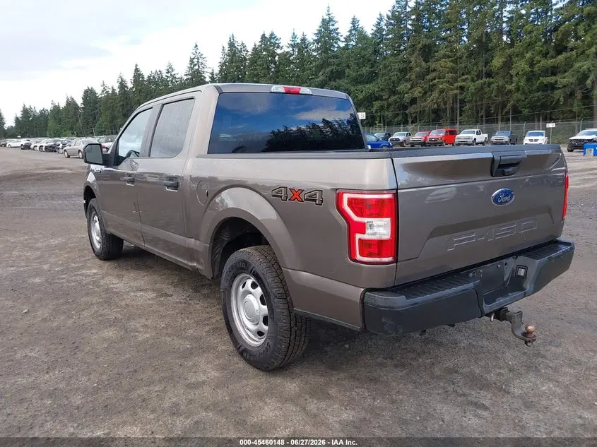 2020 FORD F-150 XL/XLT