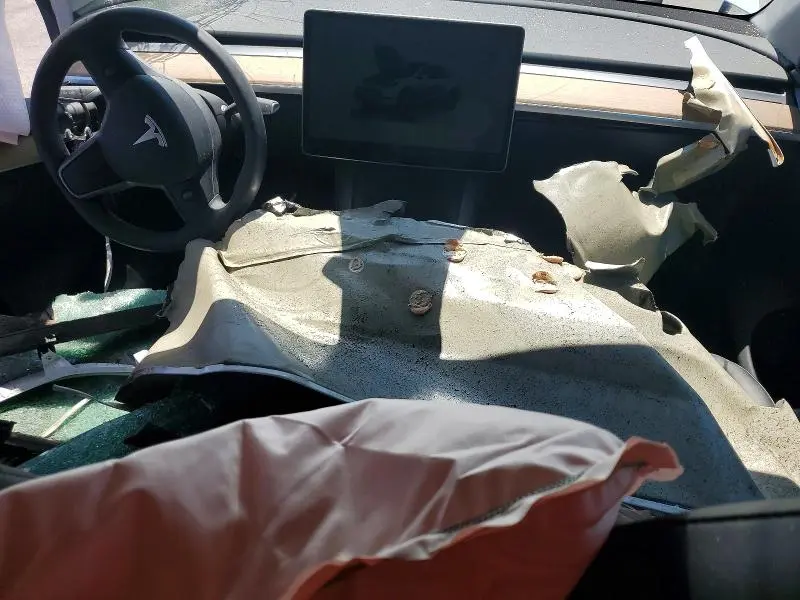 2025 TESLA MODEL Y   