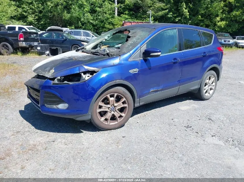 2013 FORD ESCAPE SEL