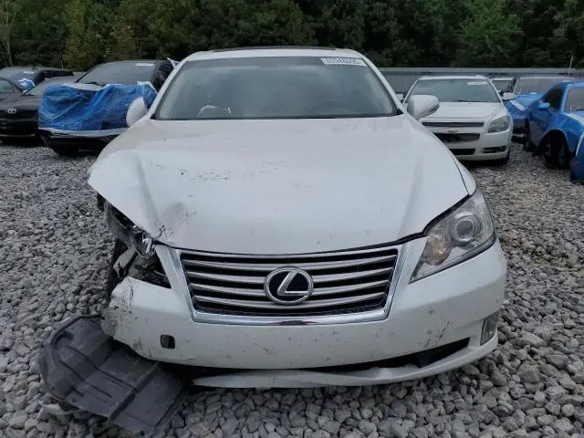 2010 LEXUS ES 350  