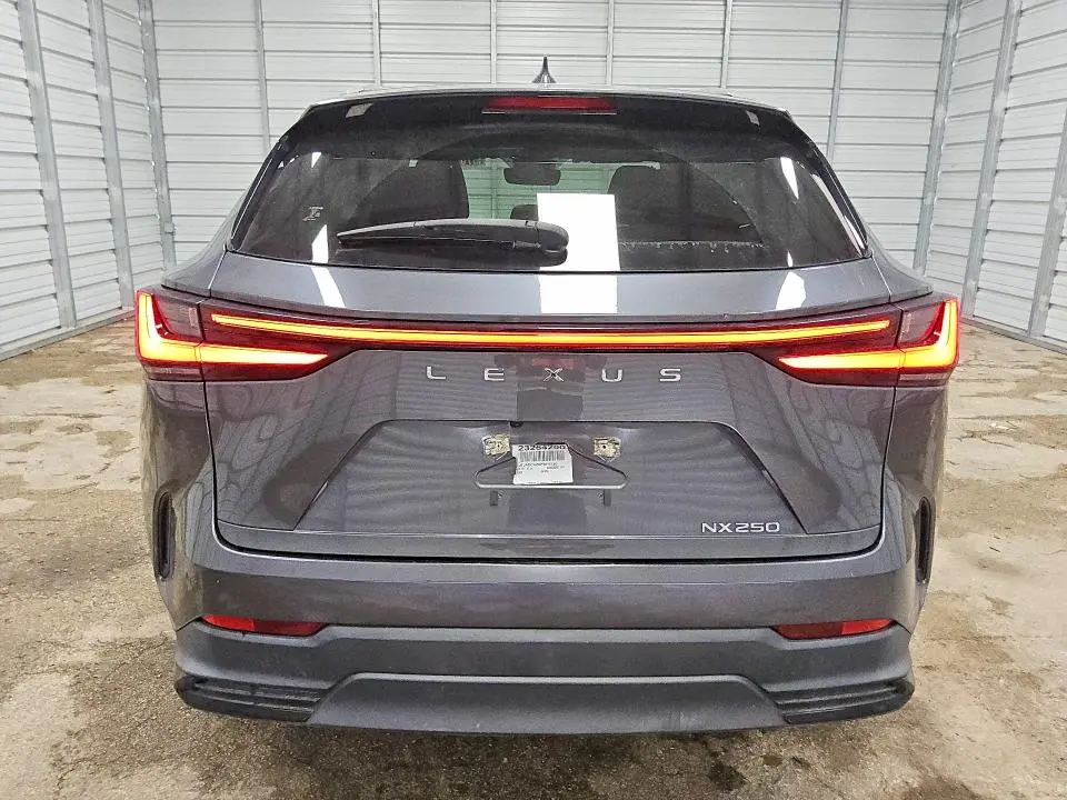2023 LEXUS NX 250  