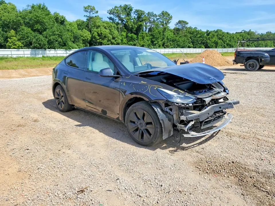 2025 TESLA MODEL Y   