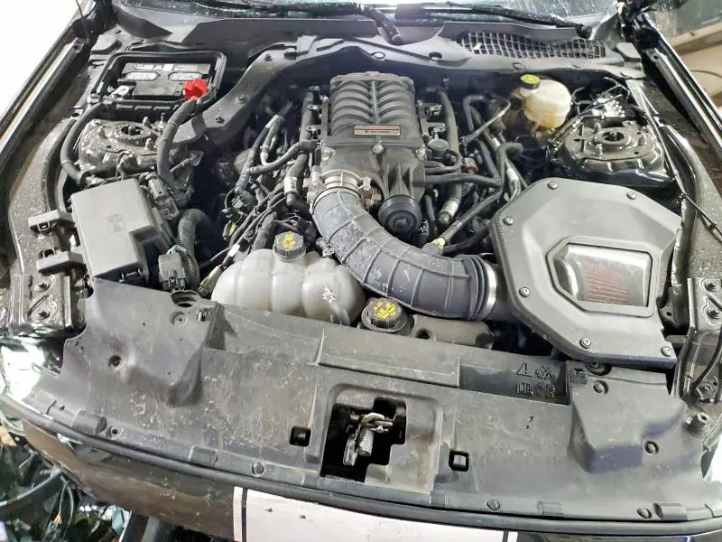 2021 FORD MUSTANG GT  