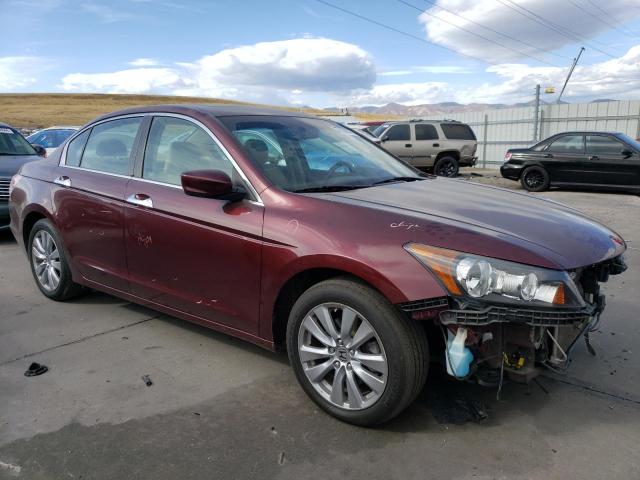 2011 HONDA ACCORD EXL