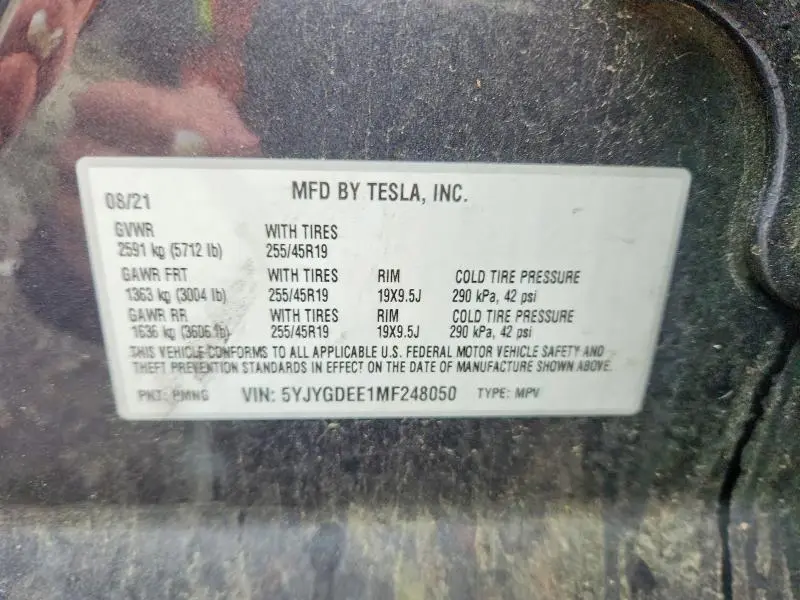 2021 TESLA MODEL Y   