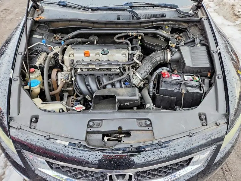 2010 HONDA ACCORD EXL  