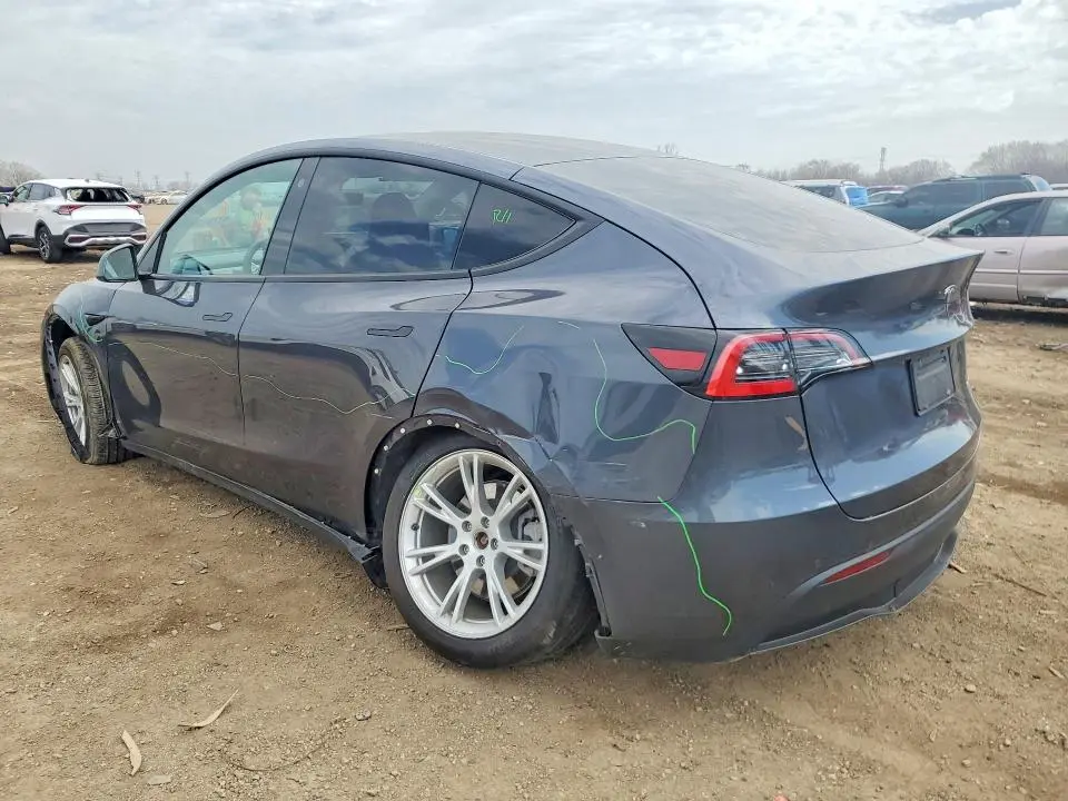 2021 TESLA MODEL Y   