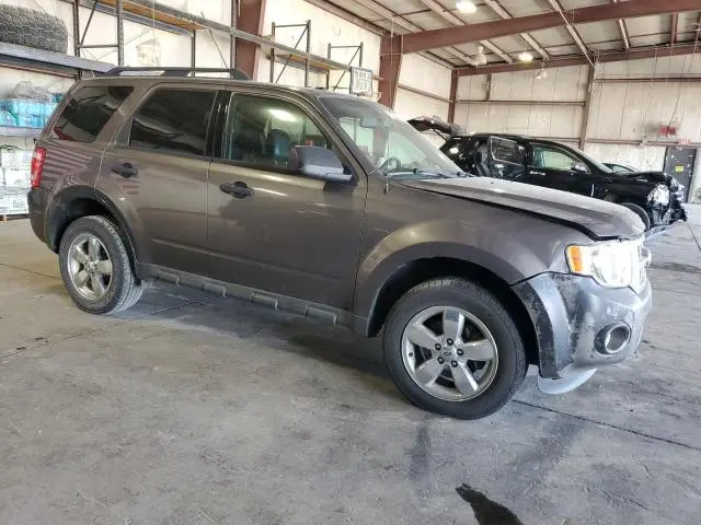 2011 FORD ESCAPE XLT