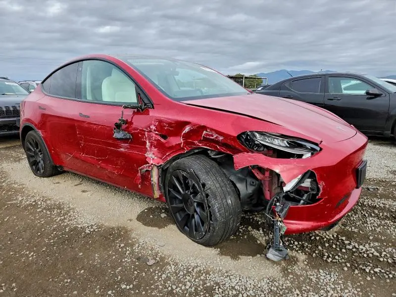 2021 TESLA MODEL Y   