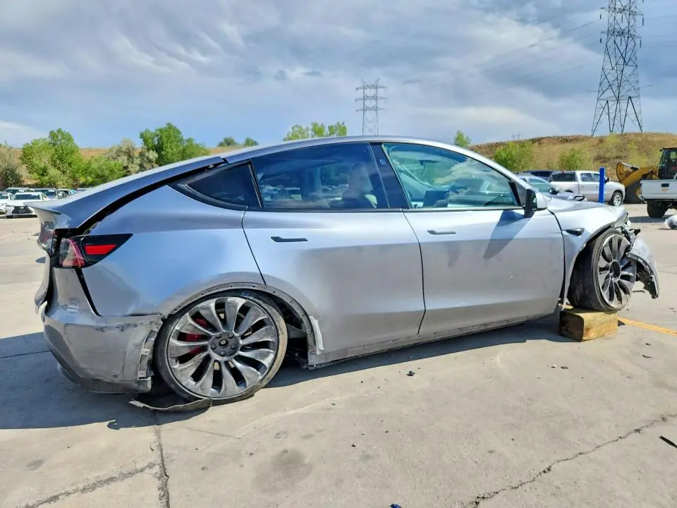 2024 TESLA MODEL Y   