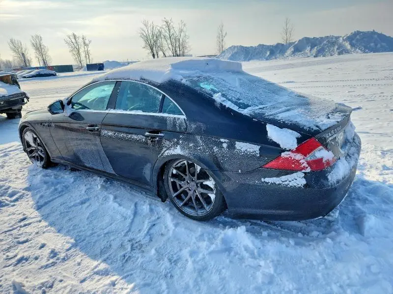 2010 MERCEDES-BENZ CLS 550  