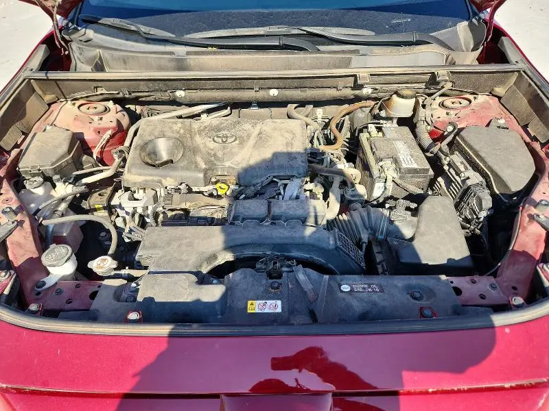 2019 TOYOTA RAV4 LE  