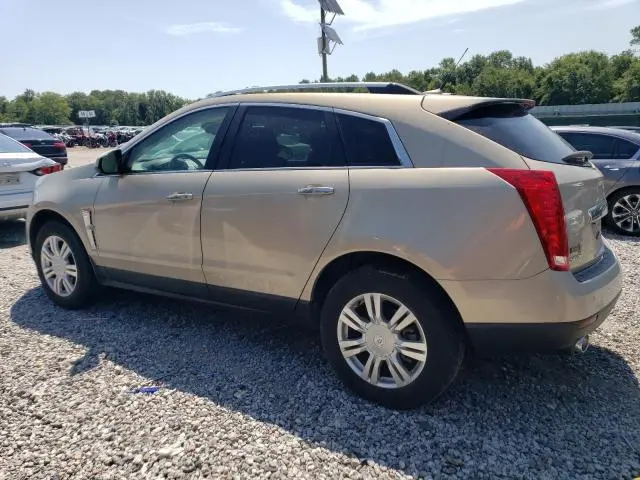 2011 CADILLAC SRX LUXURY COLLECTION  