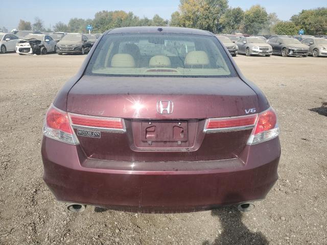 2011 HONDA ACCORD EXL