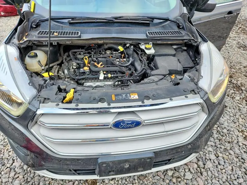 2019 FORD ESCAPE SEL  