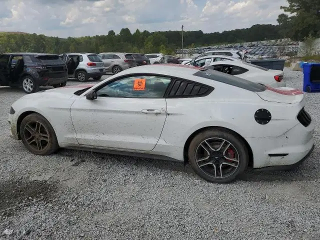 2019 FORD MUSTANG   