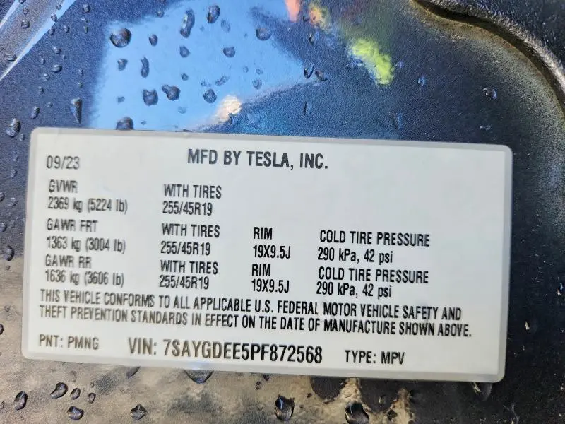 2023 TESLA MODEL Y   
