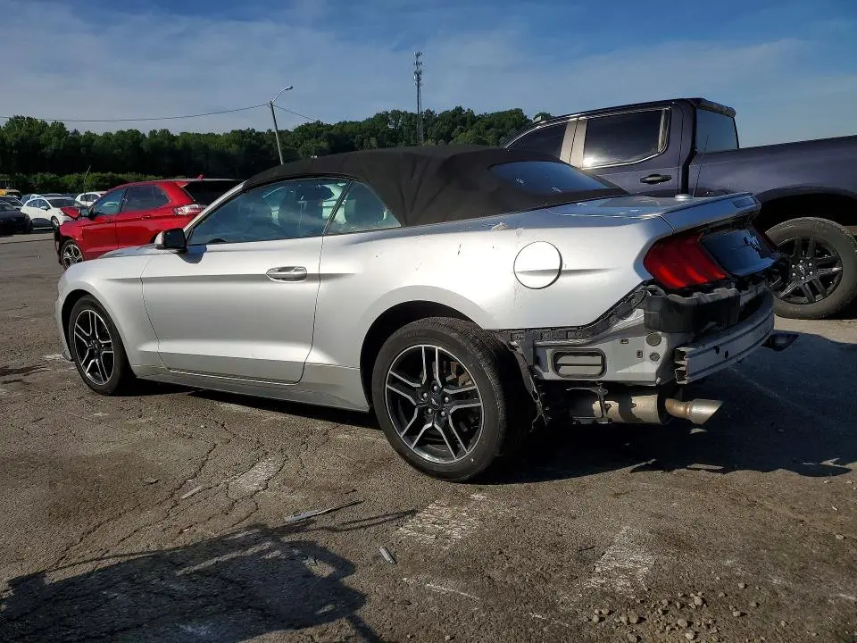 2019 FORD MUSTANG   