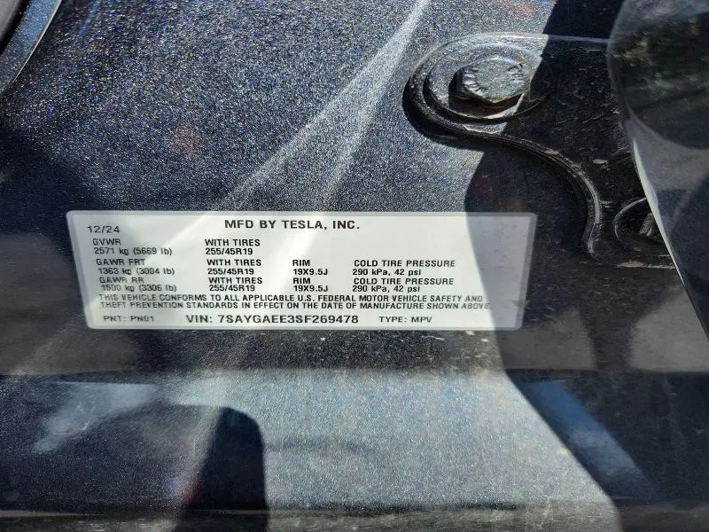 2025 TESLA MODEL Y   