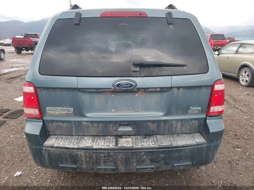 2010 FORD ESCAPE XLT