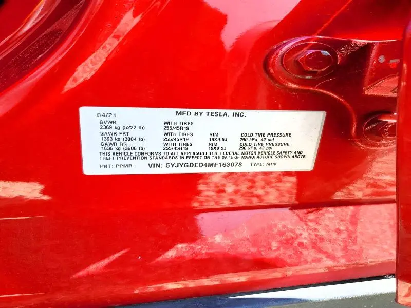 2021 TESLA MODEL Y   