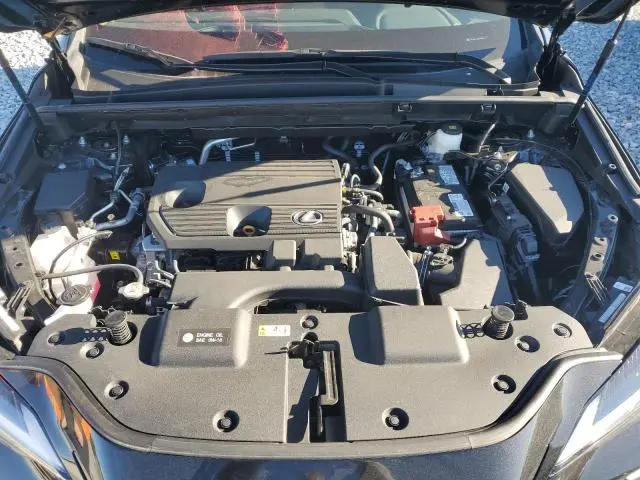 2025 LEXUS NX 250 BASE  