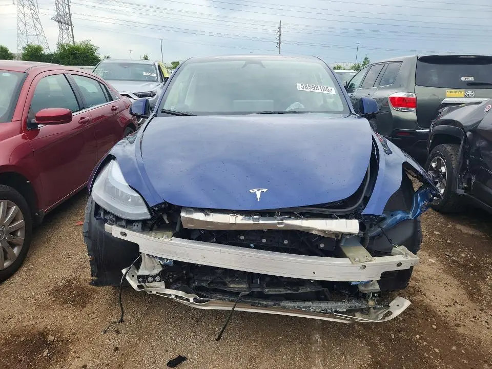 2025 TESLA MODEL Y   