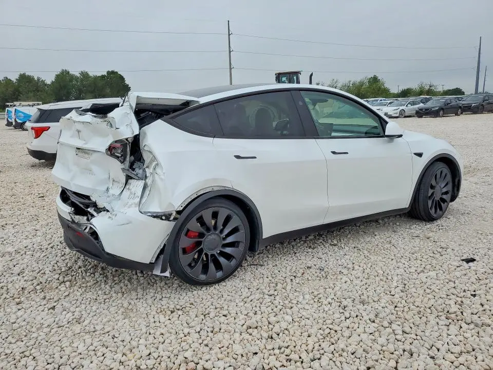 2024 TESLA MODEL Y   