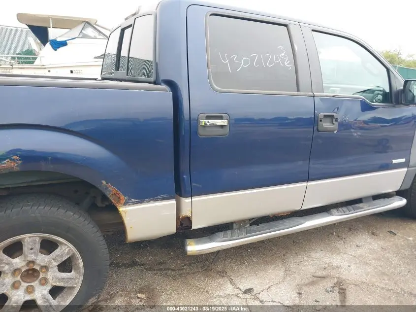 2011 FORD F-150 XLT