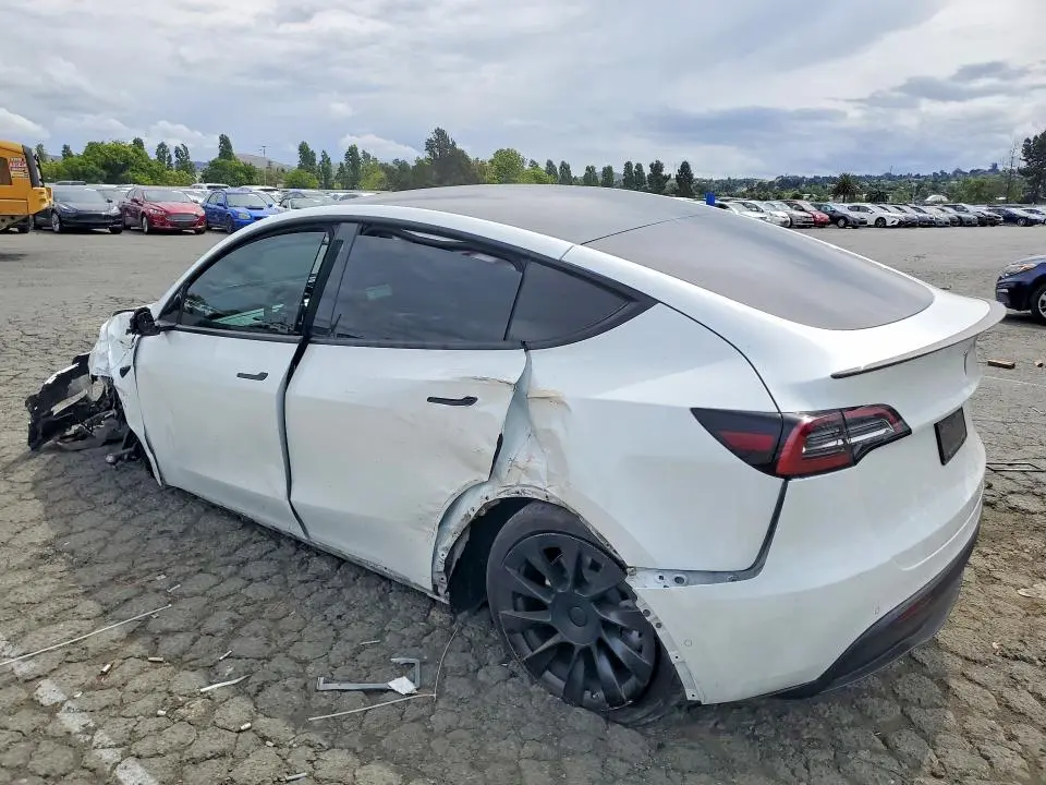 2021 TESLA MODEL Y   
