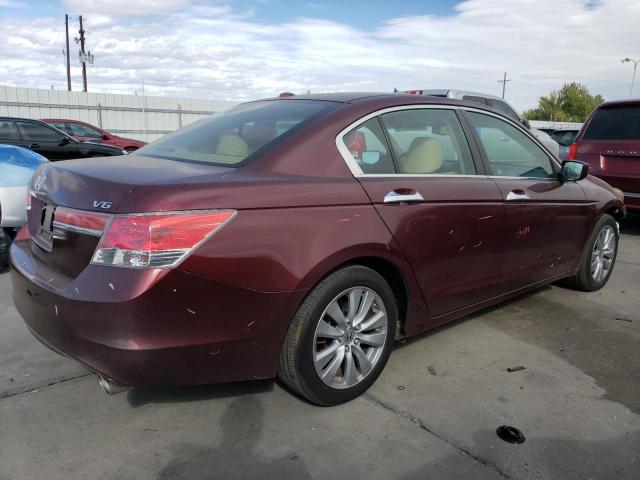 2011 HONDA ACCORD EXL