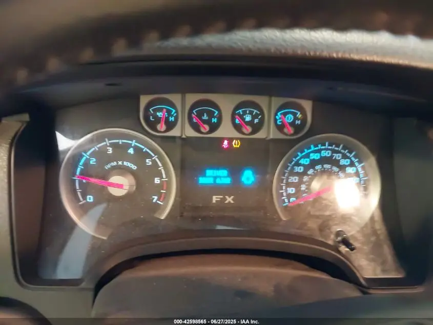 2010 FORD F-150 FX4/HARLEY-DAVIDSON/KING RANCH/LARIAT/PLATINUM/XL/XLT